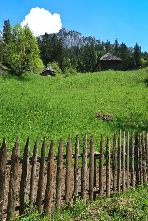 La ganivelle le produit de jardin de qualité de l'artisanat français